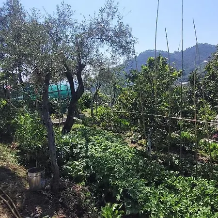 Trilocale Con Giardino 아파트 보나솔라