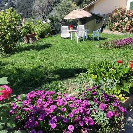 Trilocale Con Giardino 아파트 보나솔라
