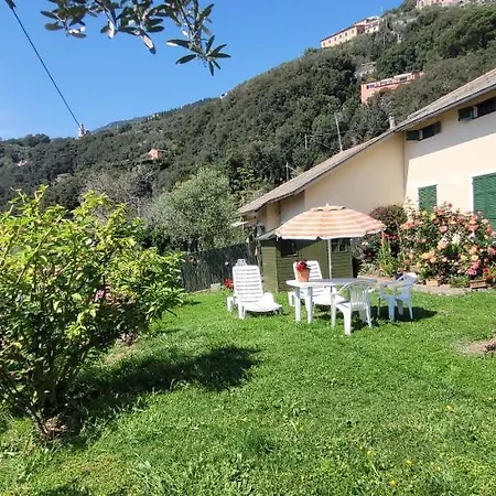 Trilocale Con Giardino